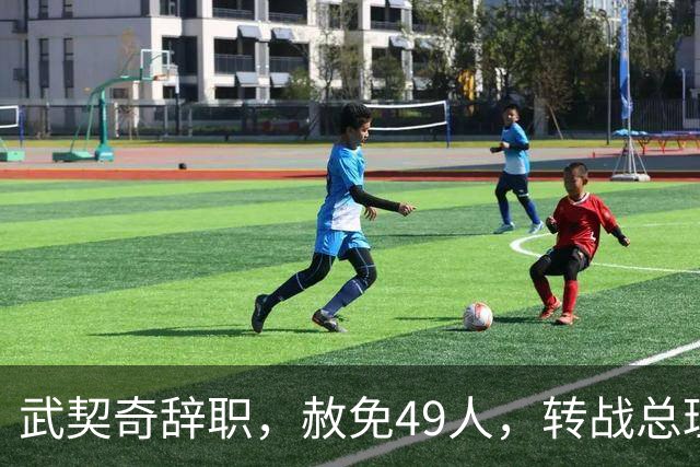 武契奇辞职，赦免49人，转战总理候选人