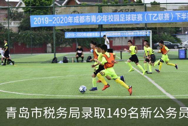 青岛市税务局录取149名新公务员，名校人才成主力军